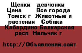 Щенки - девчонки › Цена ­ 2 - Все города, Томск г. Животные и растения » Собаки   . Кабардино-Балкарская респ.,Нальчик г.